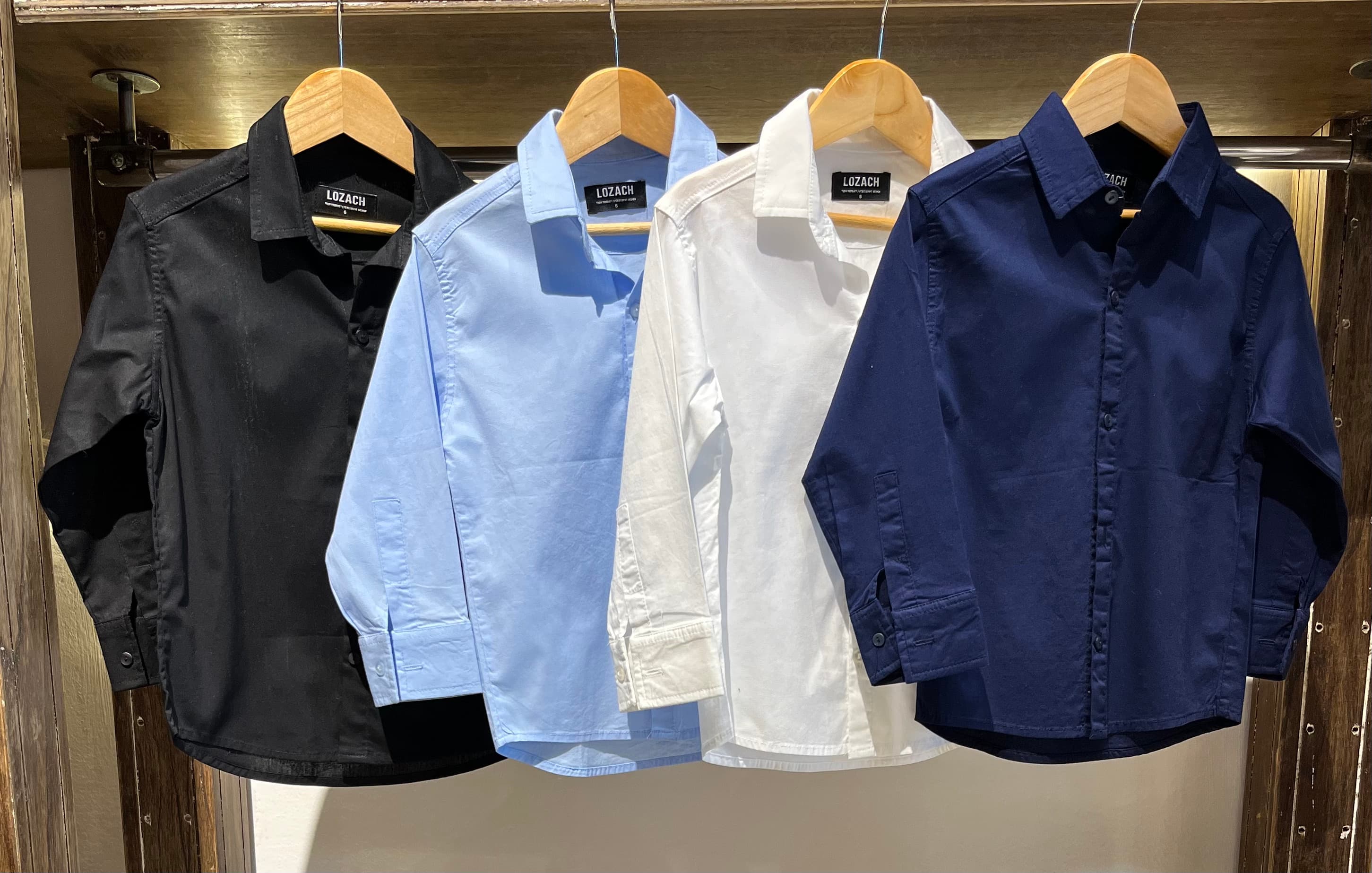 Camisa lisa de vestir